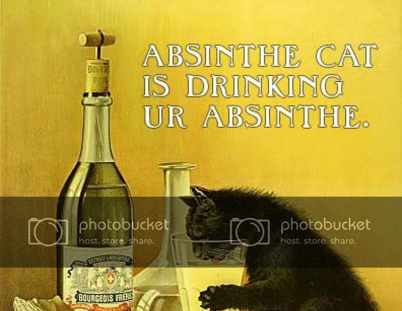 Абсент и творческие люди. Безумие в бутылке: история волшебного напитка, который сводил с ума - Абсент. Зеленая фея парижской богемы