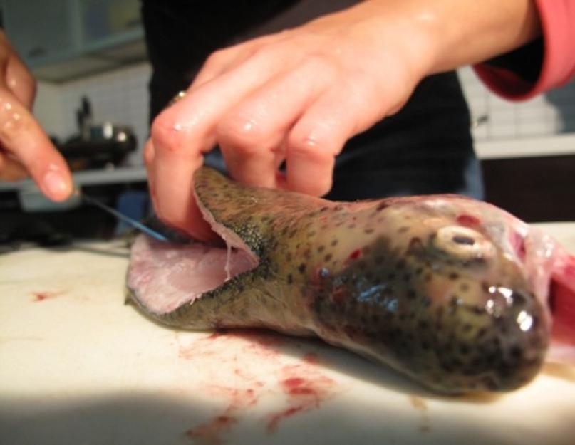 Как приготовить свежую речную рыбу. Как приготовить мелкую речную рыбу, что бы не чувствовалось костей. Жареная речная рыба на сковороде: рецепты