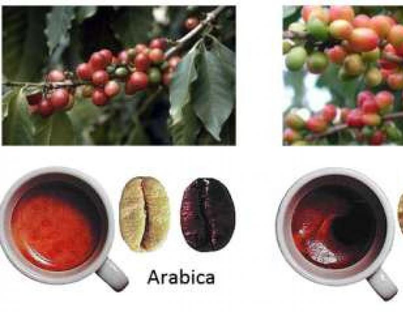 Как отличить настоящий кофе Лавацца от подделки? Как отличить растворимый кофе от подделки