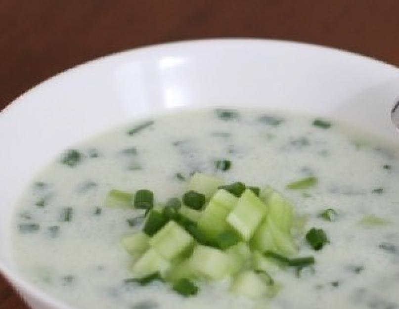 Самый диетический суп. Диетические первые блюда: рецепты супов для похудения. Щи кислые с фасолью