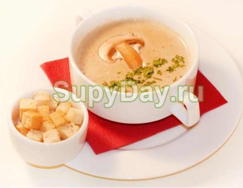 Грибной суп пюре как ем саме. Как приготовить суп-пюре грибной: рецепт с различными дополнениями