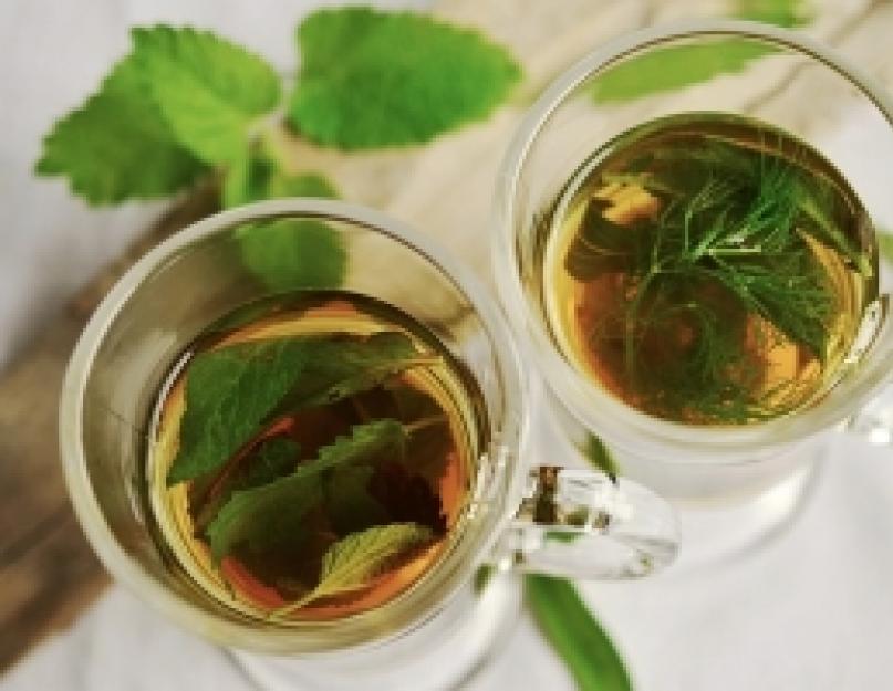 Чай со свежей мятой полезные свойства. При менструальных болях. Зеленый чай с мятой и лимоном
