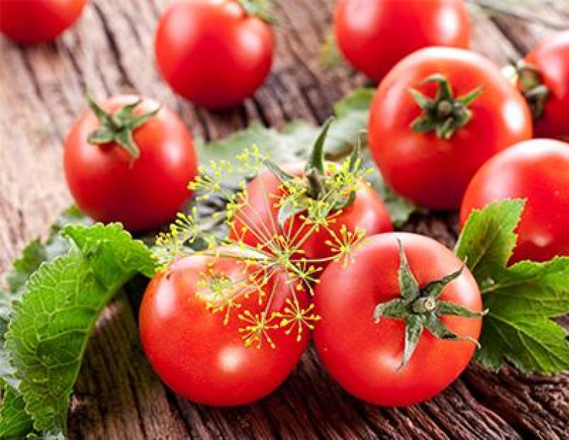 Вкусный быстрый рецепт засолки помидоров малосольные. Соленые помидоры с чесноком