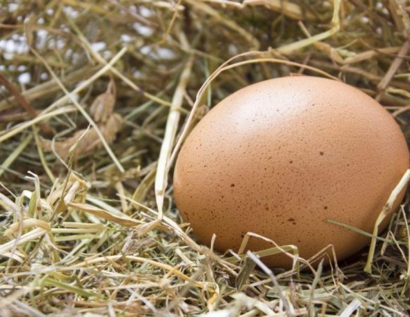 Вес яйца куриного без скорлупы 1 категории. Сколько весит куриное яйцо: без скорлупы, вареное и сырое, средний вес одного желтка и белка. Для тех, кто любит считать: взвешиваем белок