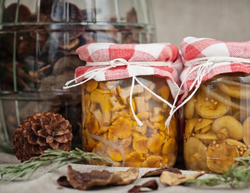 Грибы на зиму в банках - лесной аромат в вашей кладовой. Вкусные рецепты закатки грибов на зиму