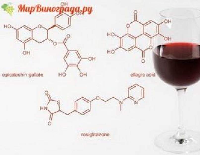 Полезные свойства виноградного вина, его химический состав. Сухое вино: полезная информация