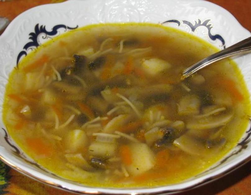 Простой и вкусный рецепт грибного супа. Грибной суп со сливками. Грибной суп из сушеных грибов – простой рецепт