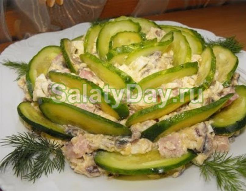 Салат с ветчиной острый. Как просто приготовить салаты с ветчиной. Салат с ветчиной и сыром 