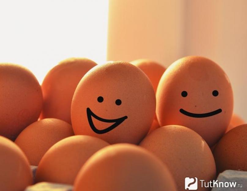 Как проверить что яйцо не. Как проверить яйца на свежесть – способы и видео. Визуальная оценка свежести