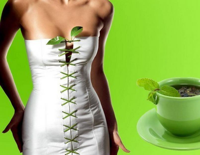 Зеленый чай для похудения: вкусно, ароматно, эффективно. Почему зеленый чай помогает в борьбе с лишним весом. Рецепт чая с молоком, его польза и вред