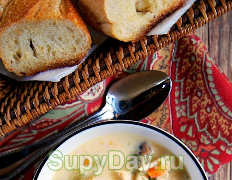 Суп грибной на бульоне рецепт. Вкусный грибной суп на курином бульоне – рецепт с пошаговыми фото, как сварить из свежих шампиньонов. Готовим грибной суп на курином бульоне