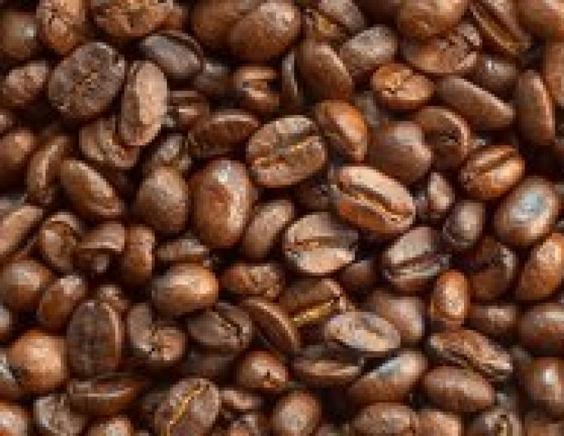 Какой кофе лучше лавацца или кимбо. Сорта и разновидности кофе — какой самый дорогой в мире, характеристики и какой выбрать