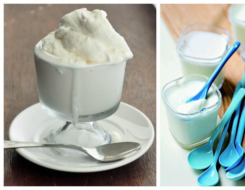 Как сделать йогурт в домашних условиях рецепты. Какие полезные бактерии включаются в домашние йогурты из закваски? Принцип работы йогуртницы