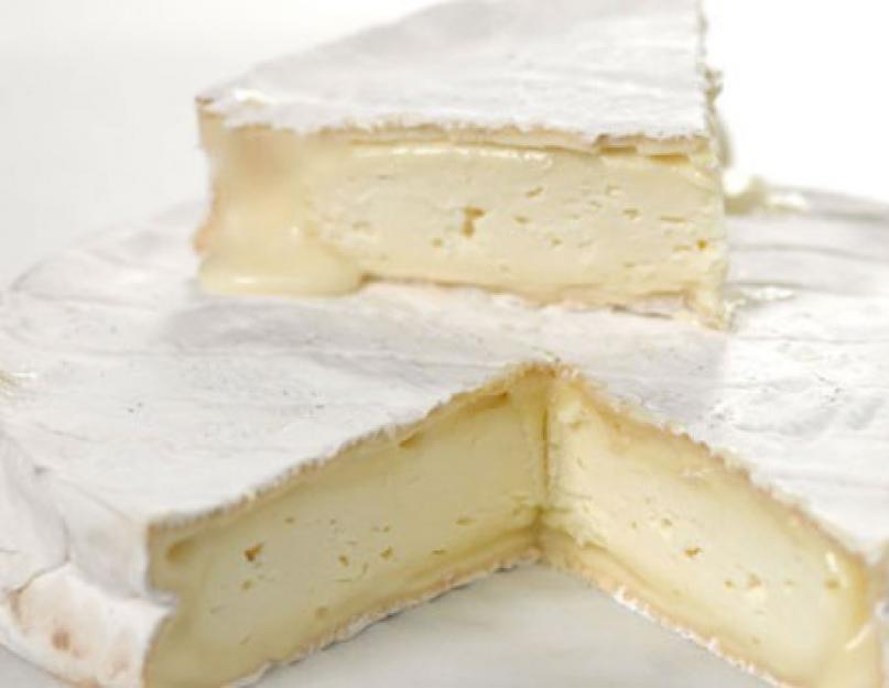 Сыр бри использование в кулинарии. Важные факторы при выборе продукта. Лучшие сорта сыра 