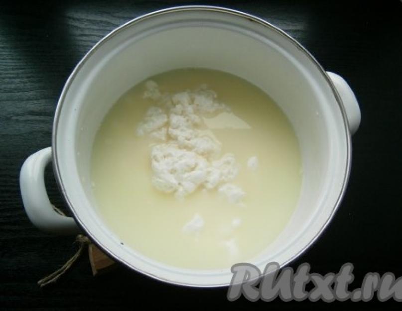 Сыр из жирного творога в домашних условиях. Как сделать плавленный сыр в домашних условиях? Кому необходим сыр в рационе