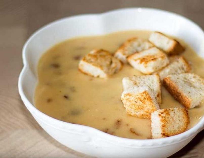 Как сварить суп из грибов. Суп грибной из свежих грибов: рецепты. Суп с маринованными грибами — самый вкусный рецепт