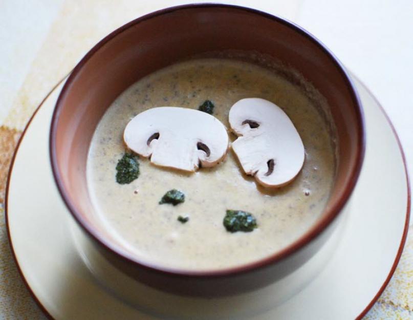 Суп из шампиньонов со сливками: классика и оригинальность. Рецепты легкого грибного супа на сливках к деловому и домашнему обеду. Суп пюре из шампиньонов