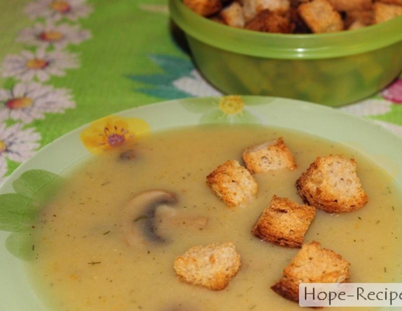 Суп пюре грибной с картошкой. Картофельные супы-пюре: простые и вкусные рецепты. С белыми грибами в мультиварке