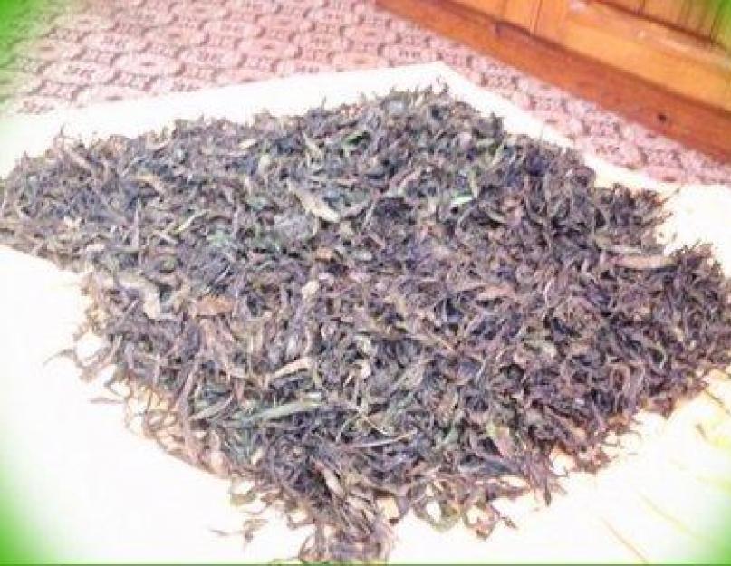 Целебная сила мужской травы — лечение простатита иван-чаем! Отличное средство – масло цветков иван-чая. Аденома простаты: терапия настоем травы иван-чая