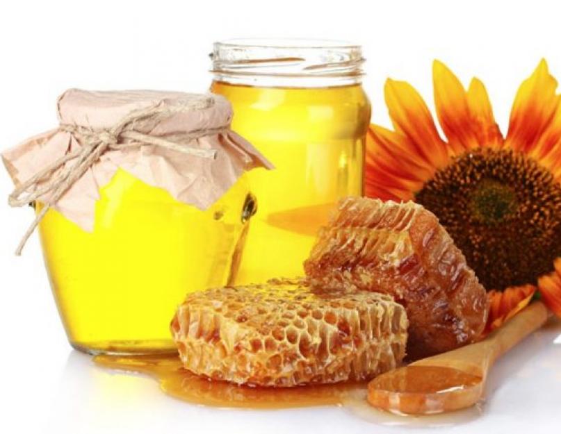 Самая новая информация о подсолнечнике мед витамины. Как мёд влияет на организм. Где собирают подсолнечный мед