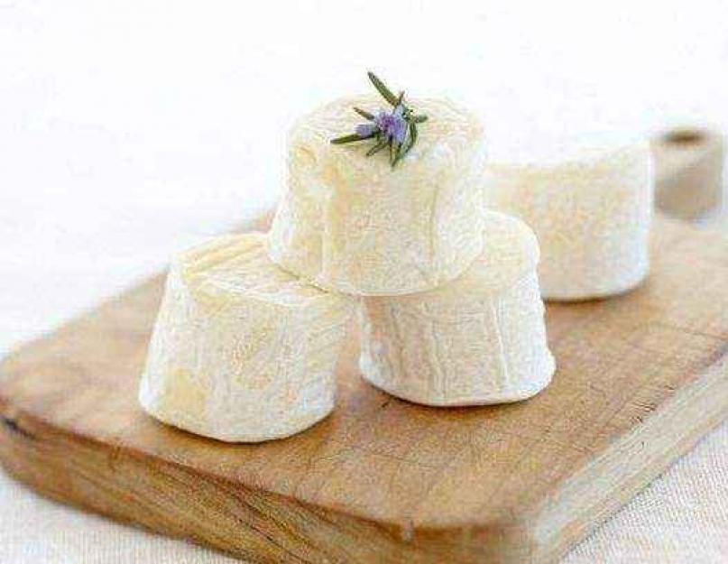 Домашний козий сыр пищевая ценность. полезных свойств козьего сыра. При дисбактериозе и плохом пищеварении