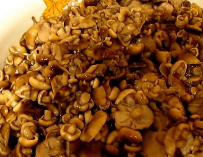 «Щедрые на урожай» — грибы опята: польза, вред и калорийность продукта. Рецепты маринованных опят на зиму Маринованные опята без стерилизации