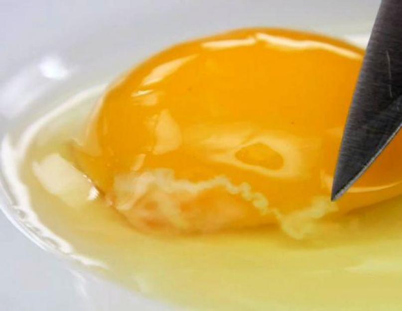 Почему яйцо имеет такую форму. Что это за белые штучки, которые выпадают из яйца вместе с желтком. Белки варят в продолговатых формах, вставляя внутрь трубку — чтобы получилось отверстие, в которое потом будут вливать желток