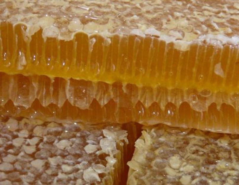Как хранить соты в холодильнике или вне. Как хранить мёд в домашних условиях: рекомендации специалистов. Хранение меда в сотах в специальных пластиковых контейнерах