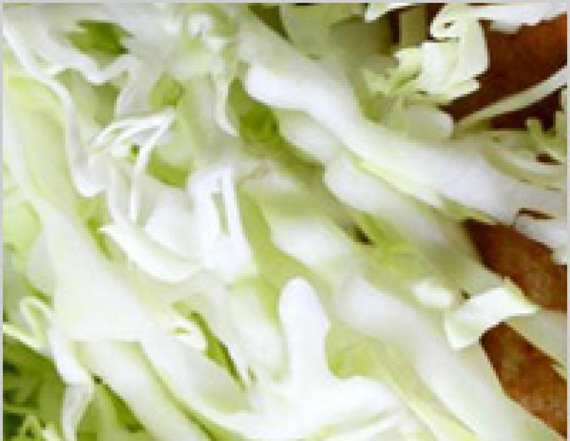 Салат аппетитный рецепт с капустой на зиму. Какие ингредиенты понадобятся для данной засолки. Как приготовить салат-пятиминутку из капусты с болгарским перцем и уксусом