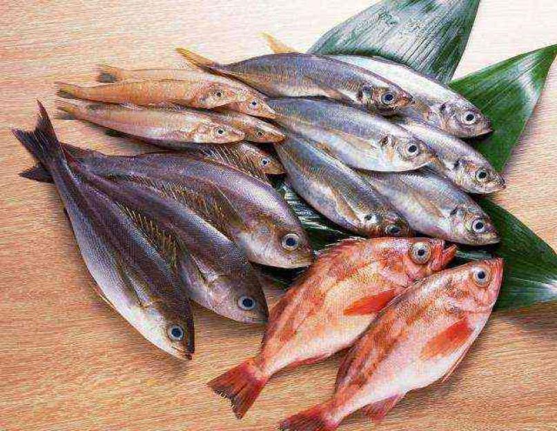 Красная рыба: полезные свойства. Великолепный продукт. Свойства, лучшие рецепты, вред и польза рыбы. Польза красной рыбы