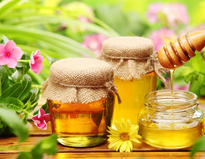 Все виды меда полезные свойства. Лесной вид мёда. Кипрейный мед - лекарство для желудка