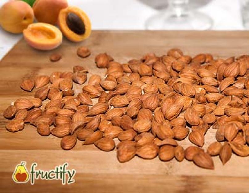 Ядра абрикосовых косточек — уникальный дар природы, приносящий неоценимую пользу людям. Вред от косточек яблок. Как пользоваться подушкой-грелкой