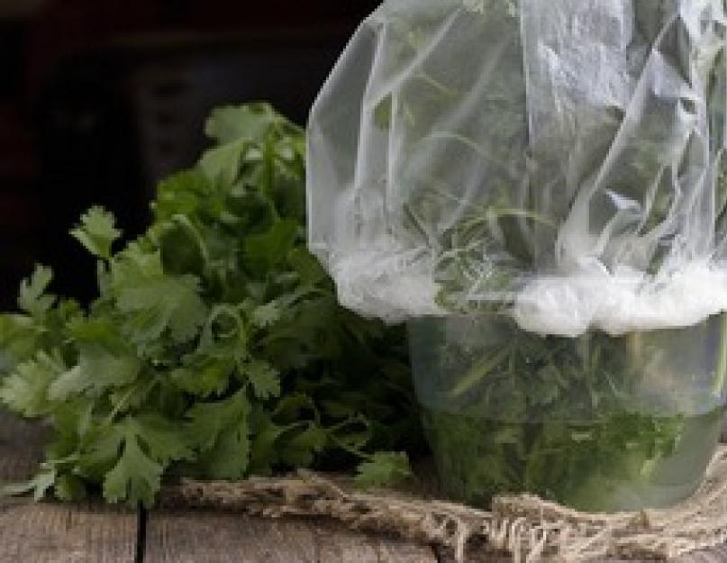 Как сохранить ярко-изумрудный цвет при варке зеленых овощей? Хранение в пакетах для замораживания. Хранение в холодильнике