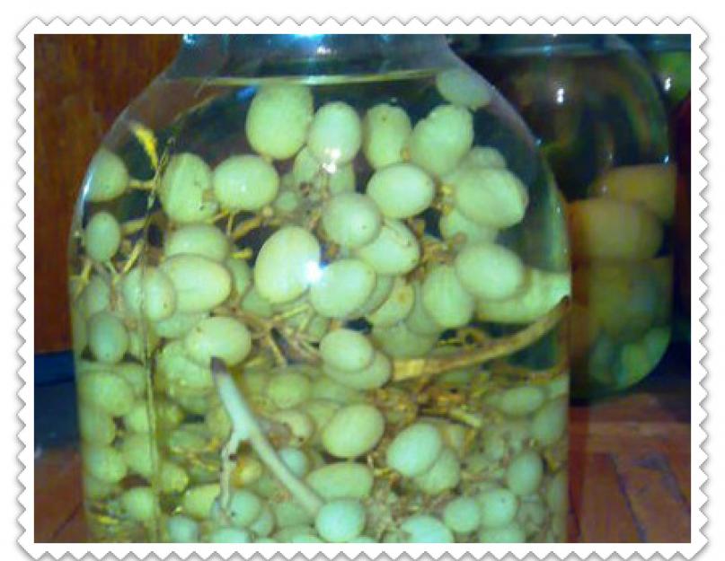 Как сварить виноградный компот. Как варить компот из винограда: традиционный рецепт, и что получится, если в банку добавить апельсин или шиповник