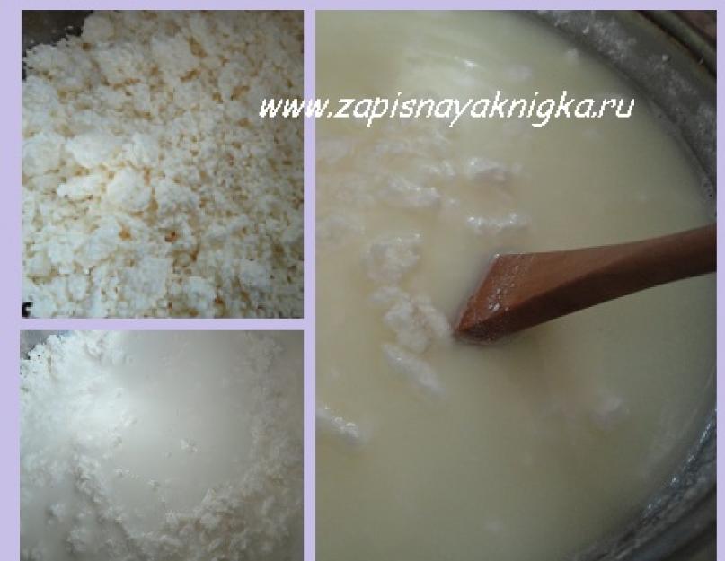 Домашний мягкий сыр из молока. Как сделать домашний сыр из молока