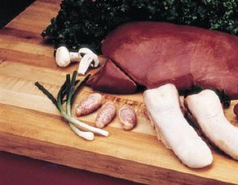 Значение мяса в питании человека. Значение блюд из птицы, дичи и кролика в питании