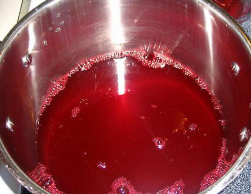 Кисель из замороженных ягод: рецепты. Как сварить вкусный кисель из замороженных ягод? Это надо знать хозяйкам