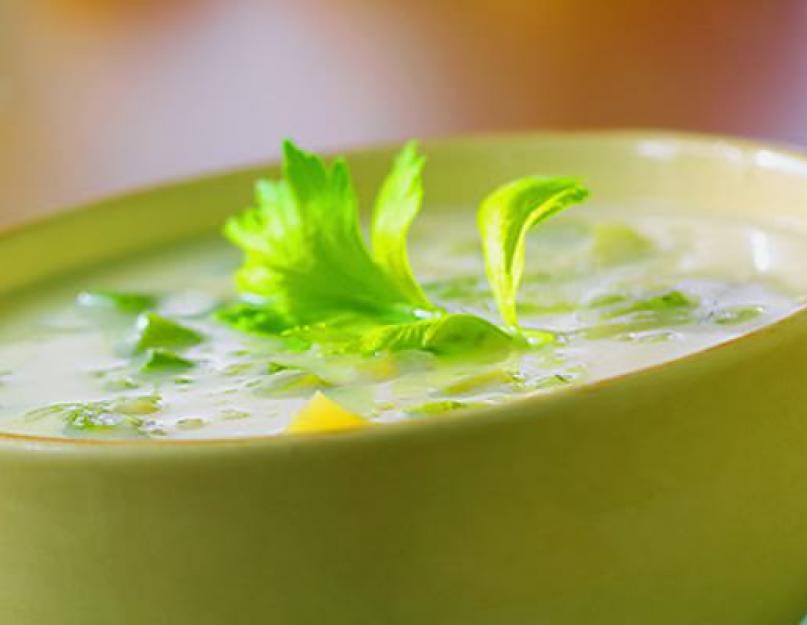 Сельдереевый суп польза. Противопоказания к диете. Рецепт супа из сельдерея