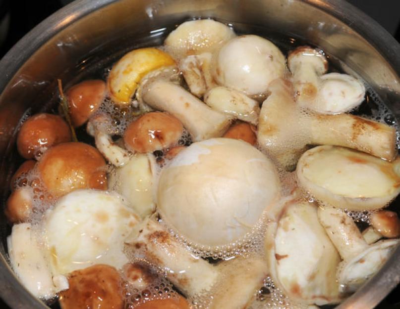 Кулинарная обработка грибов. Что делать с белыми грибами после сбора, как обработать