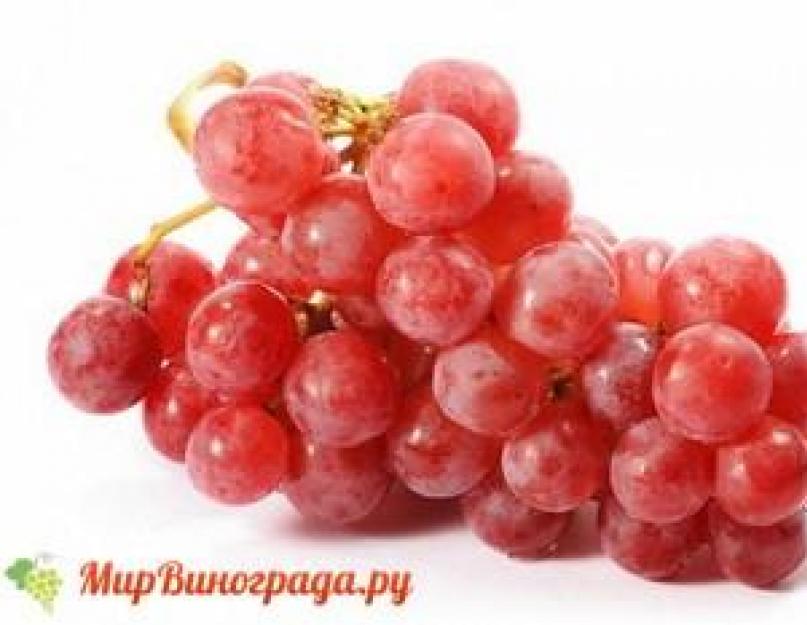 Красный виноград полезные свойства и противопоказания. Общая краткая характеристика сортов красного винограда