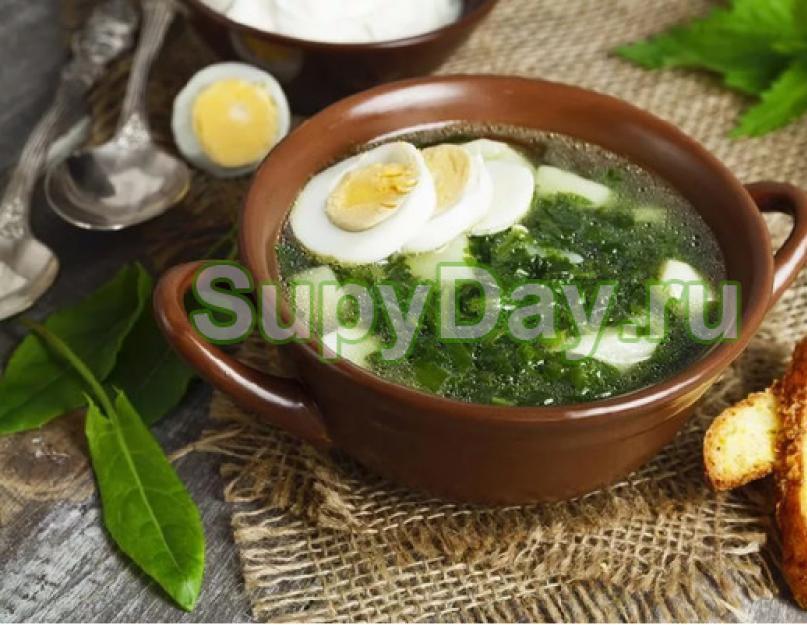 Зеленый суп из щавеля с яйцом, курицей или мясом — рецепт классический с фото пошагово. Как варить суп со щавелем ребенку. Щавелевый суп с яйцом: рецепты приготовления