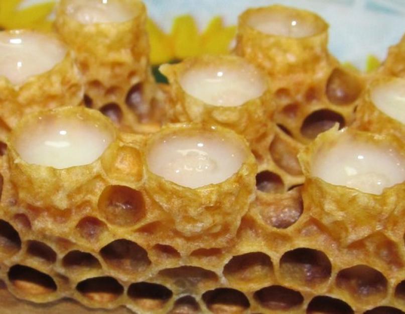 Для чего маточное молочко пчелиное. Как принимать пчелиное маточное молочко. Вред маточного молочка и противопоказания к применению
