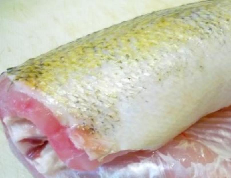 Готовим филе судака. Рыба судак: костлявая или нет, как ее почистить и что приготовить