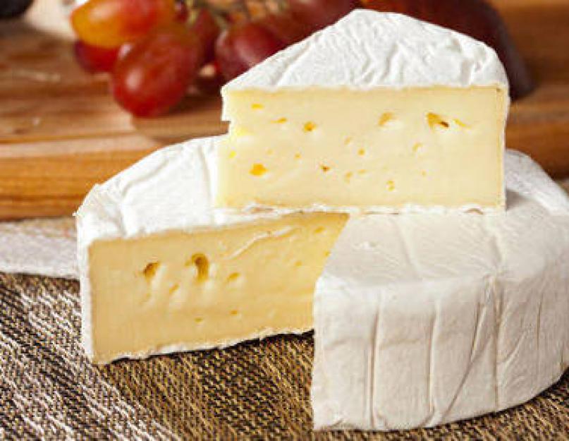 Беременная ела сыр с плесенью. О пользе и опасности употребления сыра во время беременности