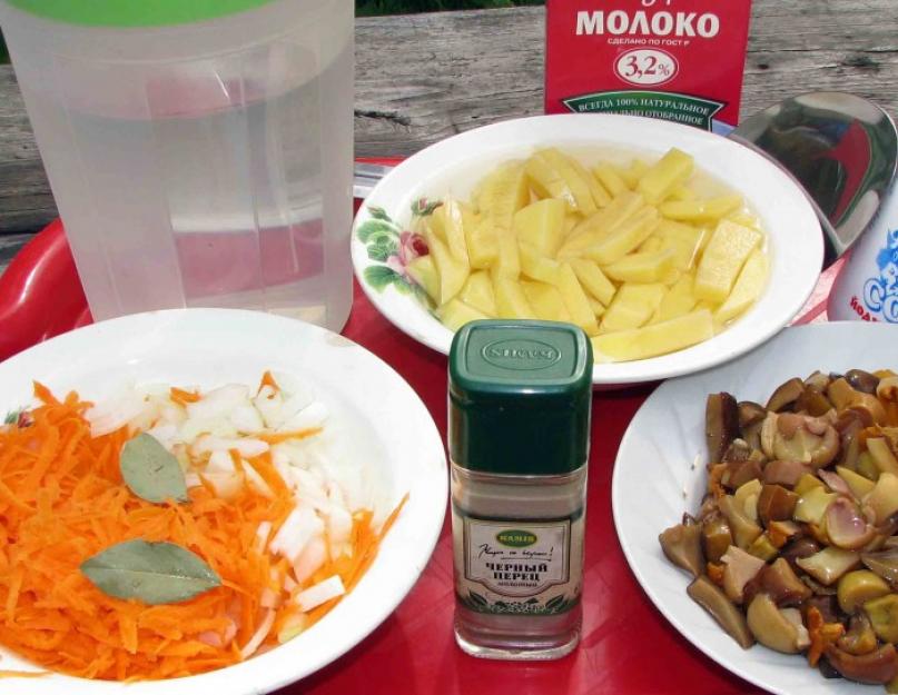 Chaudrée de pommes de terre campagnarde.  Soupe de tomates campagnarde.  Soupe champêtre aux champignons