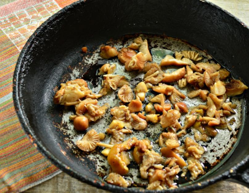 Начинка для пирога из капусты и грибов. Удачная комбинация: простые и оригинальные рецепты пирогов с капустой и грибами. Пирог с капустой и шампиньонами на кефире