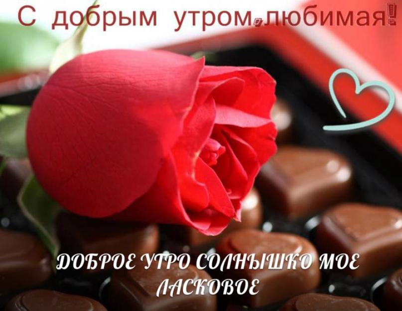 Розовые розы с пожеланием доброго утра любимая. Красивые картинки «С добрым утром, любимая!». Большая коллекция