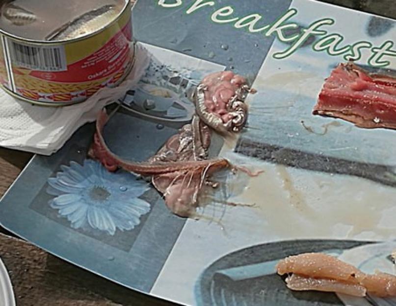 Сюрстремминг — шведская селедка с душком. Как приготовить квашеную рыбу - пошаговые рецепты с фото