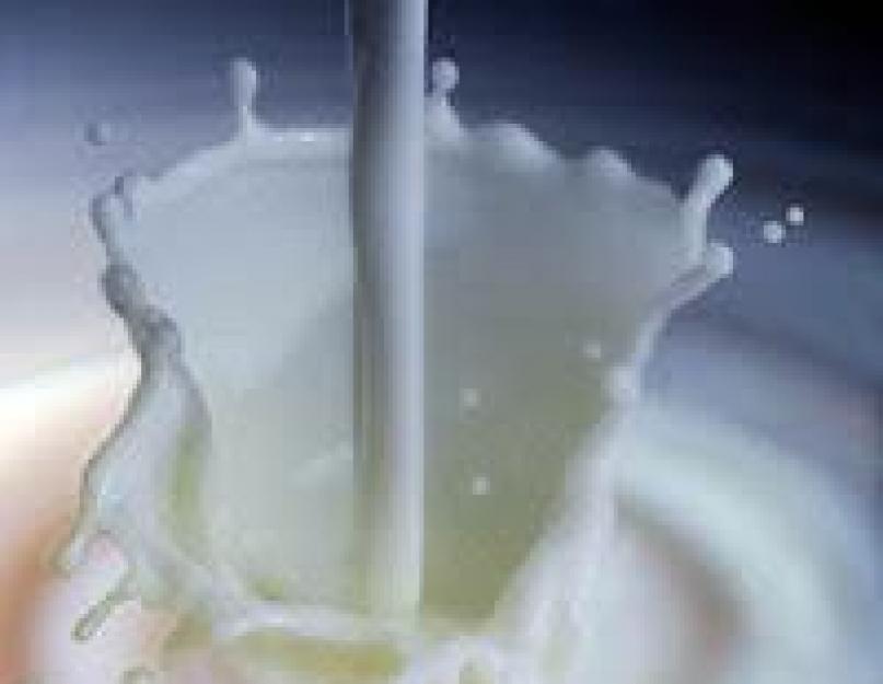 Молочный порошок обезжиренный. Сухое молоко для набора мышечной массы. Что такое и как получается сухое молоко
