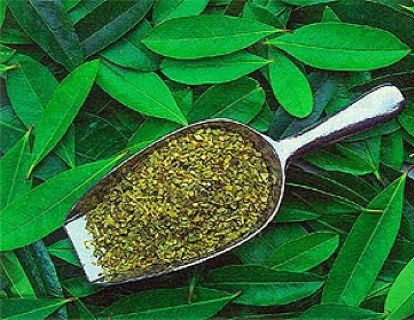 Чашечка для заваривания чая мате. Как заваривать и пить мате, полезный парагвайский чай. Зеленый матэ можно готовить как чай